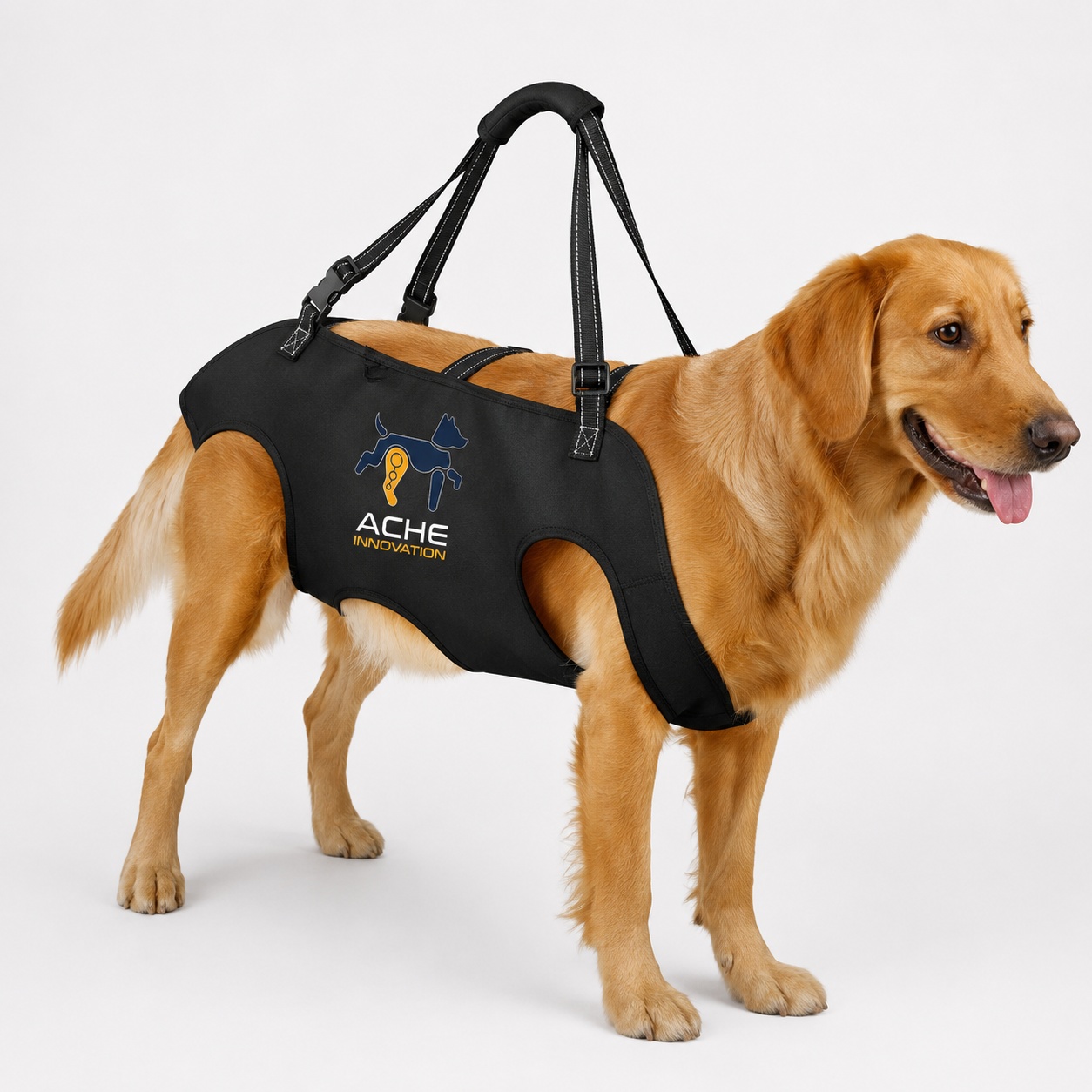 Perro con arnés de caminata asistida