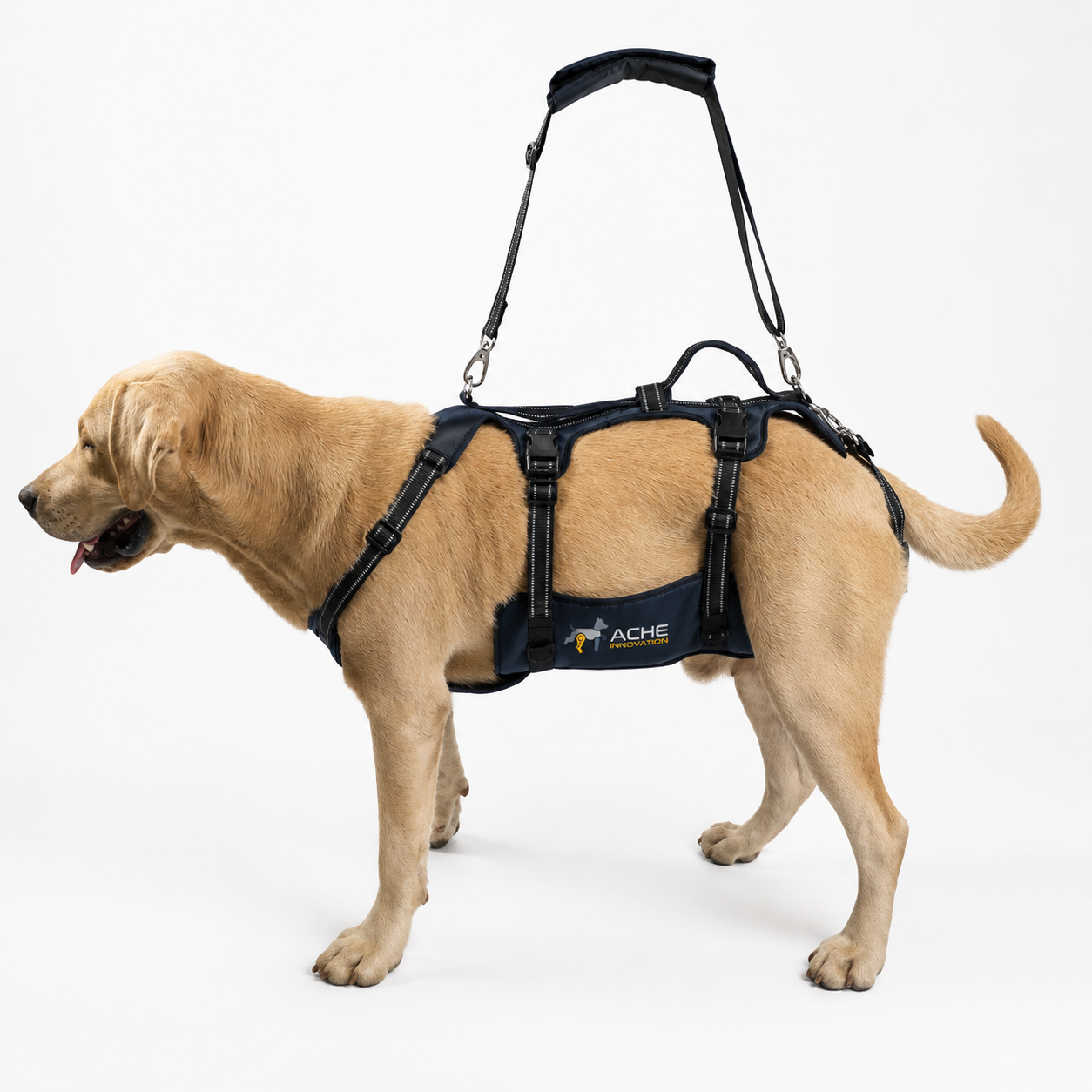 Perro con eslinga de elevación